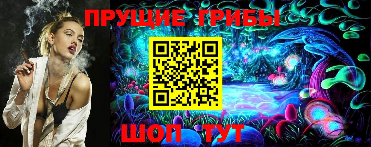Галлюциногенные грибы Psilocybe  Вход с VPN  Учалы 