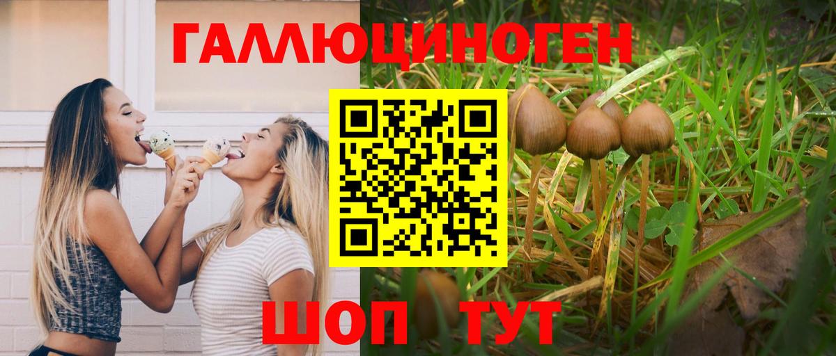 Галлюциногенные грибы Psilocybe Учалы